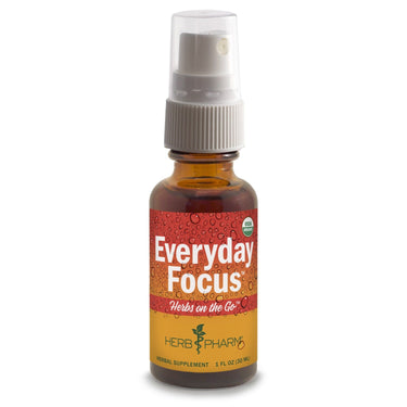 Herbs on the Go: Everyday Focus - My Village Green